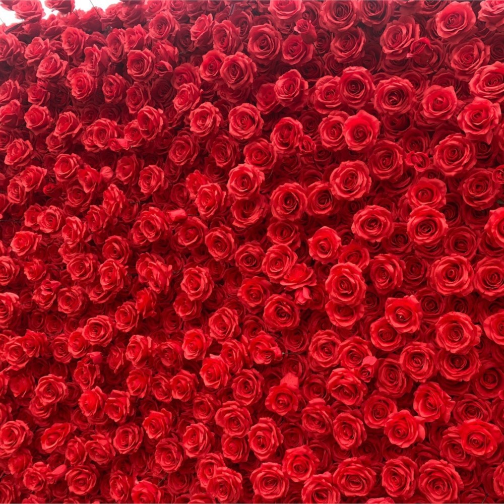 ผ้าดอกไม้ประดิษฐ์ 5 มิติ รูปดอ - Wedding Backdrop Curtain บทวิจารณ์และราคา
